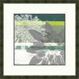 Graphic Blooms II