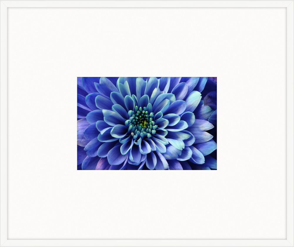 Electric Flowers - Lapis II
