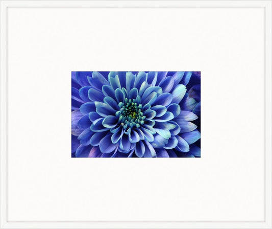 Electric Flowers - Lapis II
