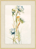 Wild Flowers I