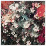 Blume III