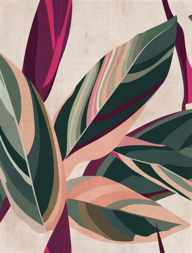 Plum Foliage I Boxed Canvas