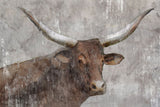 A No Bull Boxed Canvas