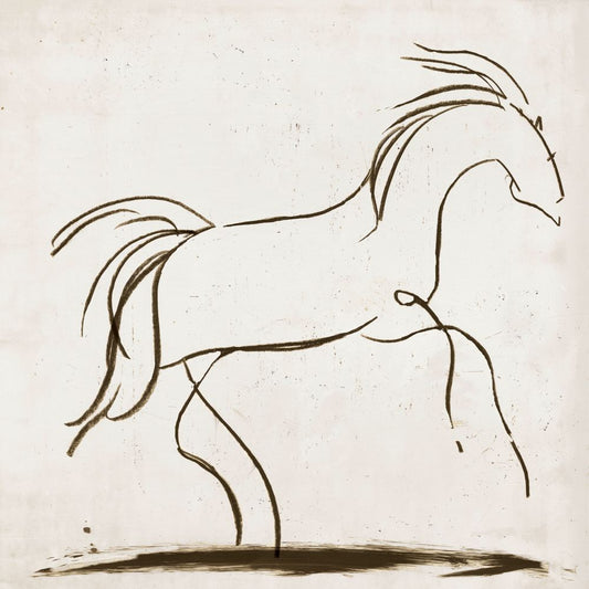 Horse II Boxed Canvas