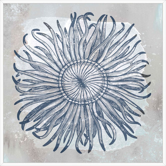 Anemone on Canvas
