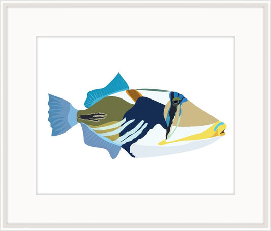 Fish of the Red Sea