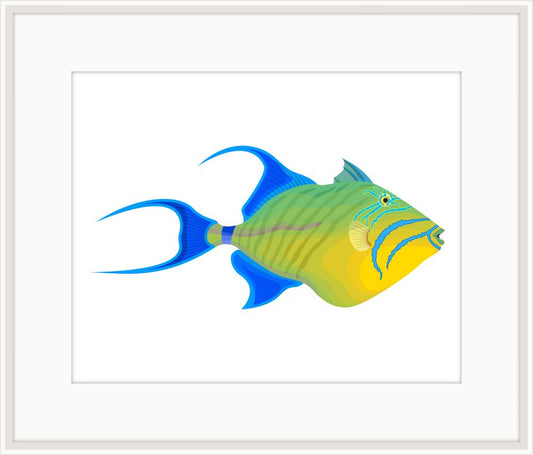 Fish Queen