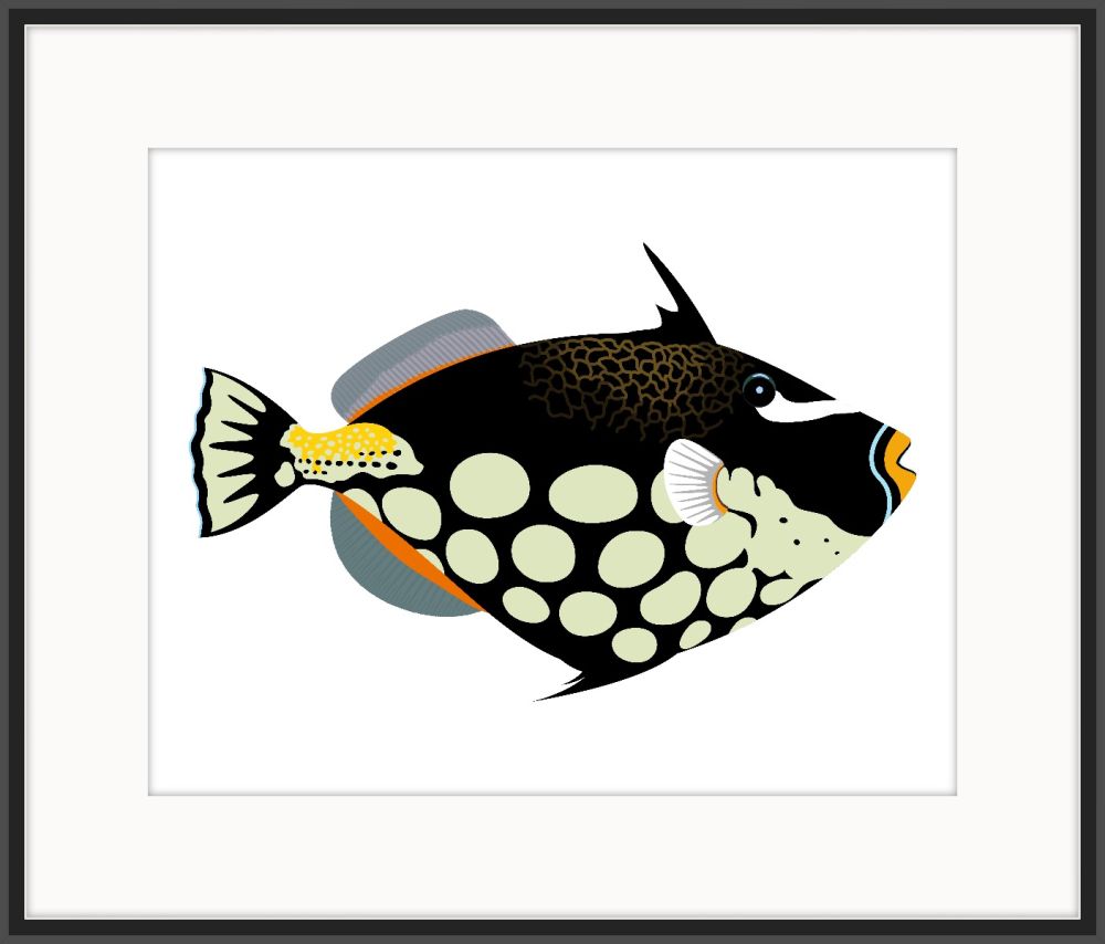 Pacific Clown