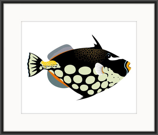 Pacific Clown