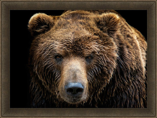 Brown Bear Petite
