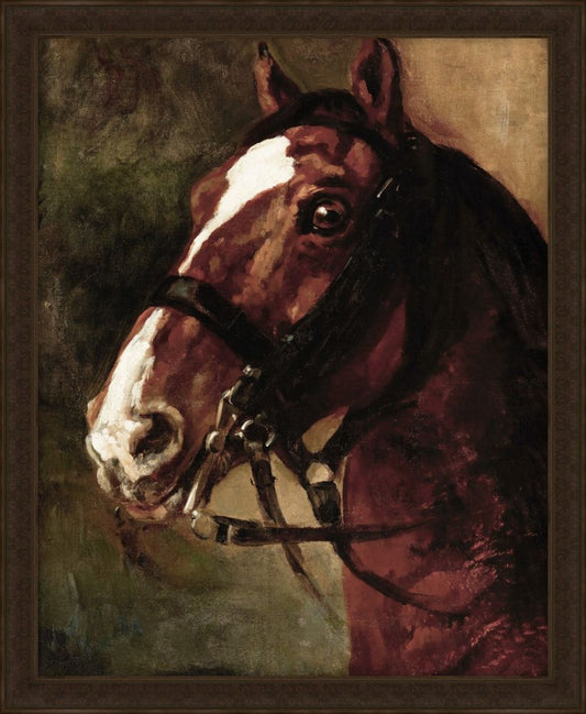 Bay Horses