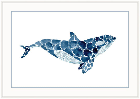 Killer Whale