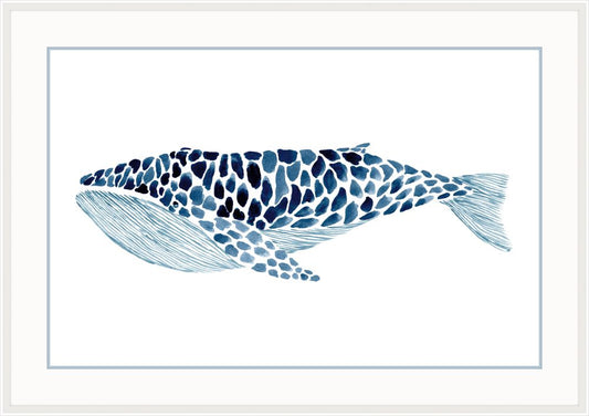 Humpback Whale