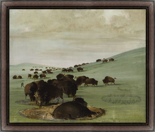 Buffalo in the Mud