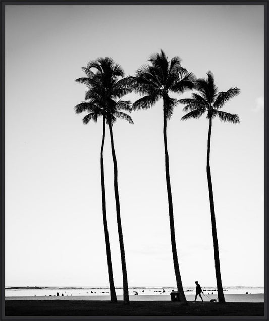 Palms at Dusk