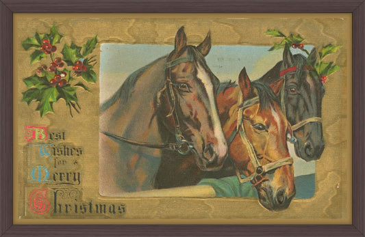 A Merry Christmas V