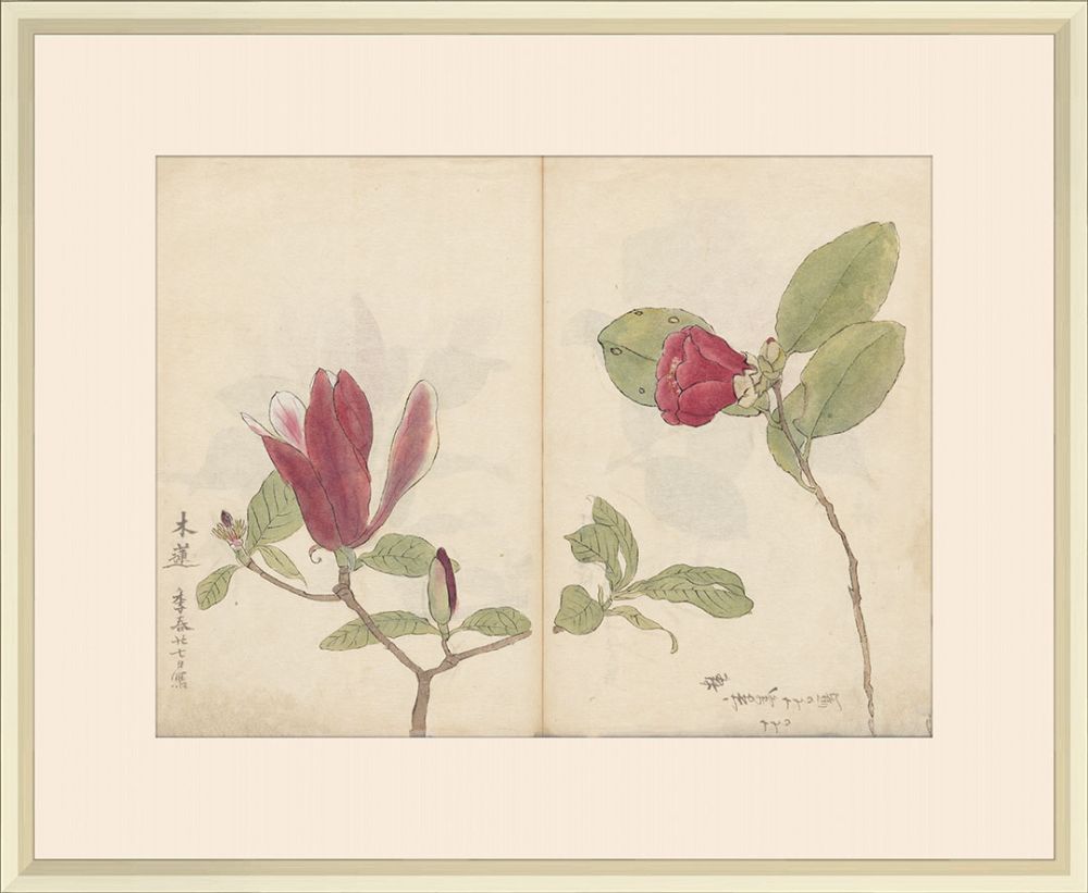 Sketchbook Flowers II