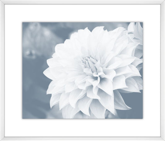Bay Blue Flower II