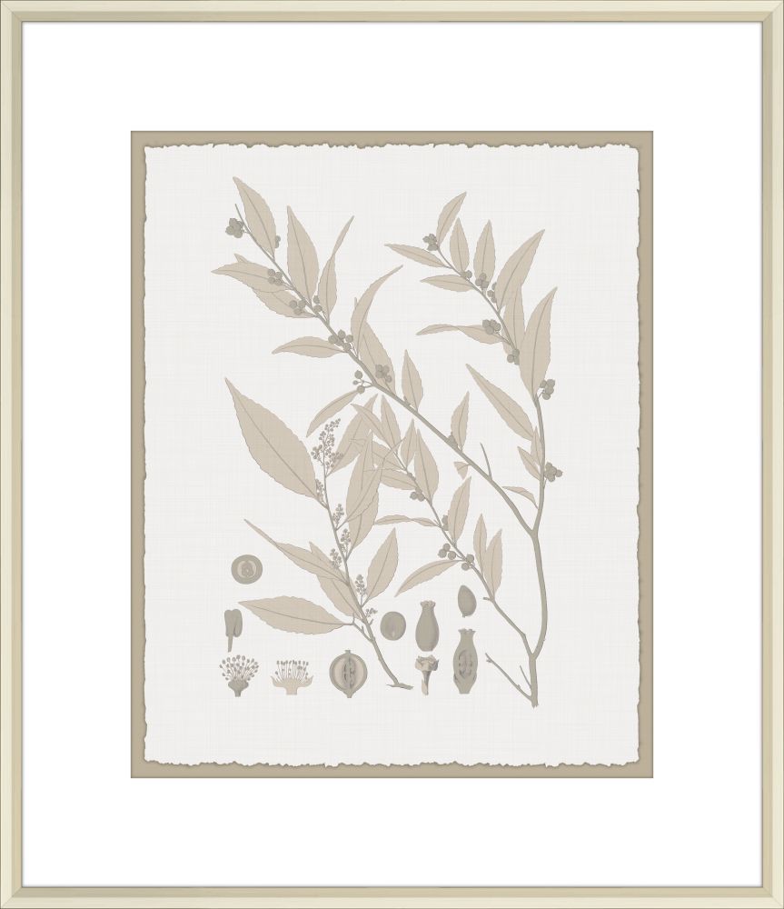 Leaves in Umber I