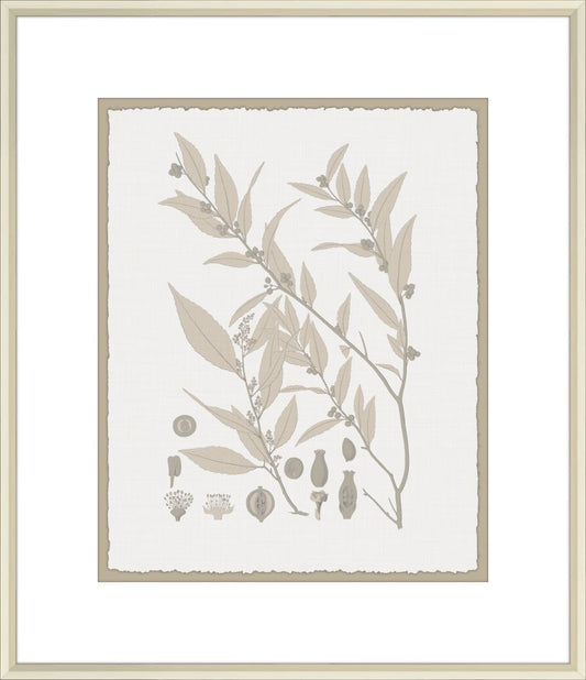 Leaves in Umber I