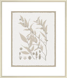Leaves in Umber I