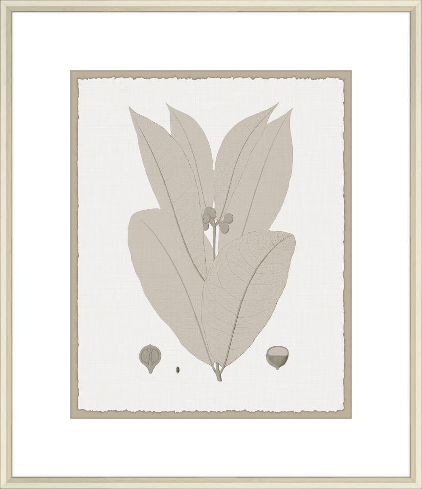 Leaves in Umber III