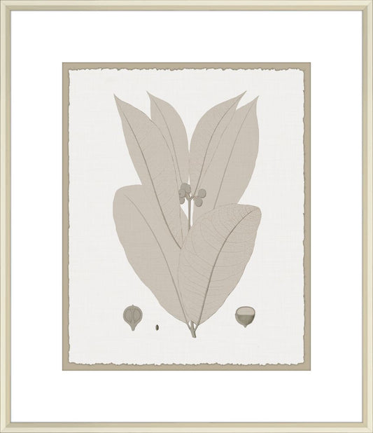 Leaves in Umber III