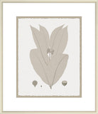 Leaves in Umber III