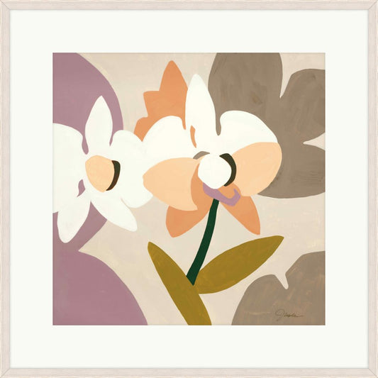 Paper Orchid