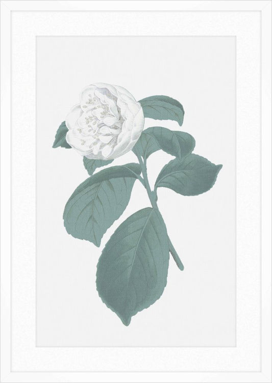 Green & White Blooms III