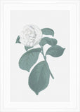 Green & White Blooms III