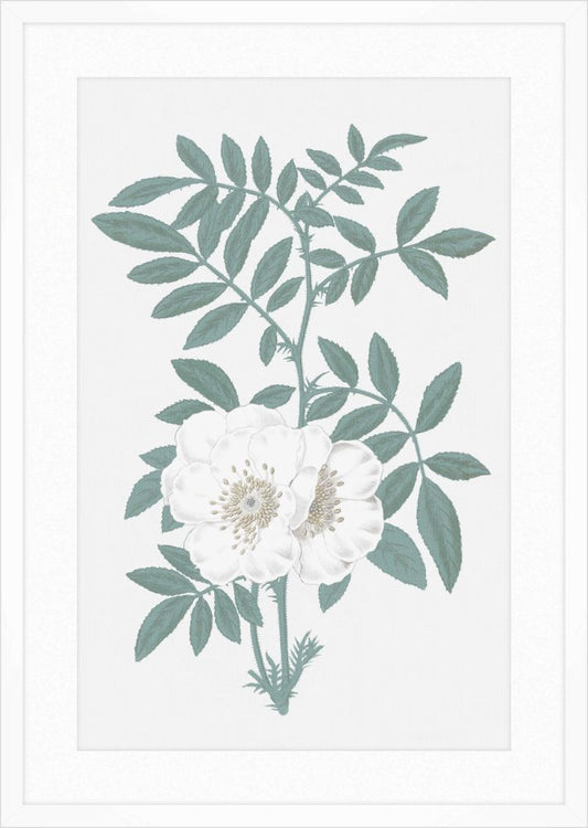 Green & White Blooms IV