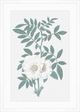 Green & White Blooms IV