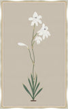 Long Flower on Taupe Linen I