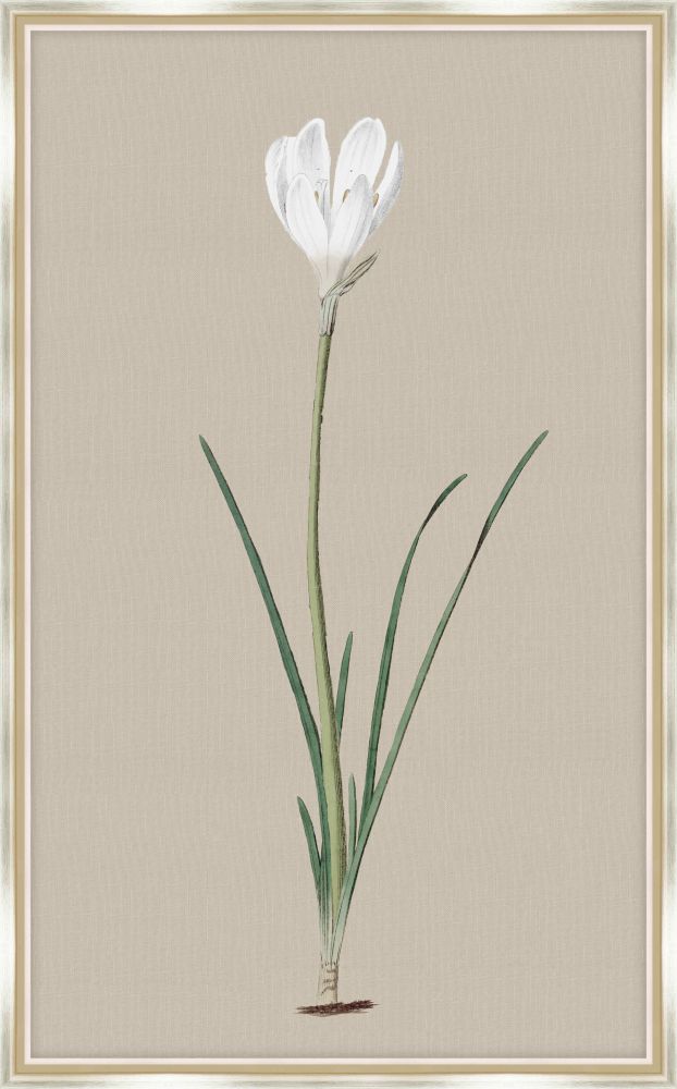 Long Flower on Taupe Linen I