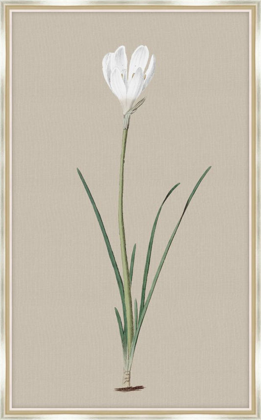 Long Flower on Taupe Linen I