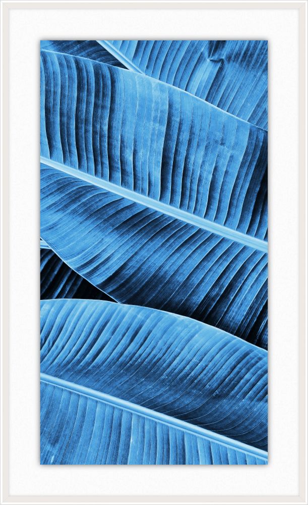 Blue Leaves II