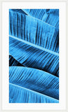 Blue Leaves II