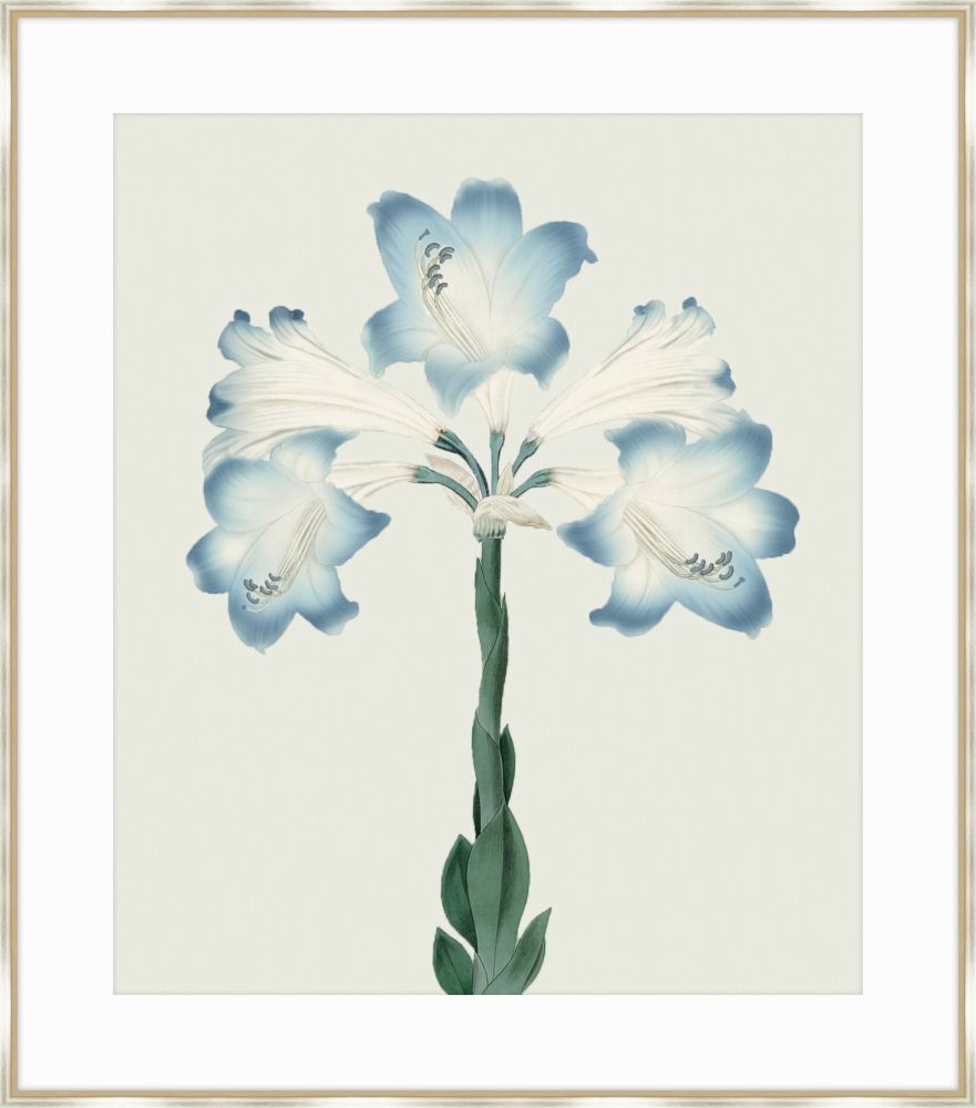 Joyful Blooms I