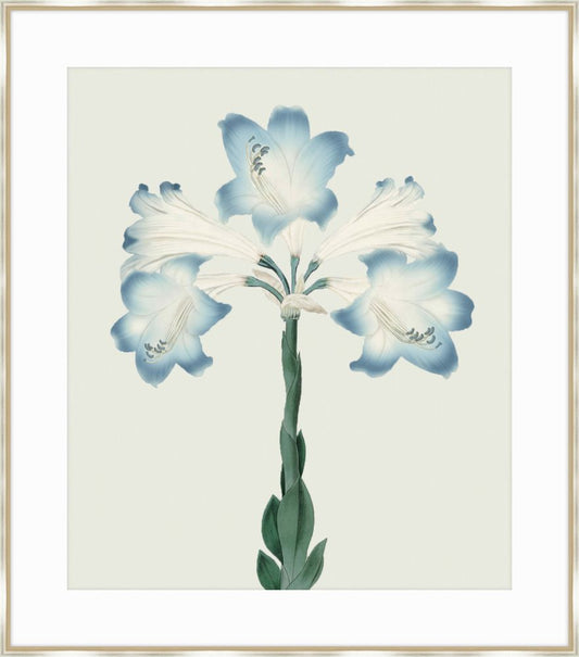 Joyful Blooms I