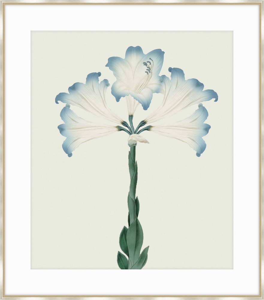 Joyful Blooms II
