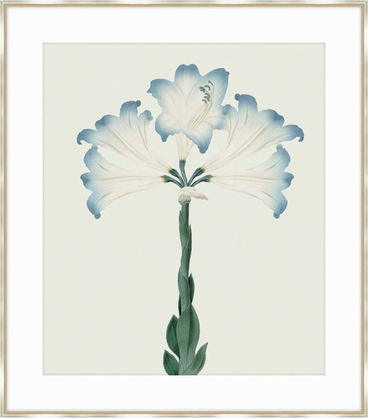 Joyful Blooms II