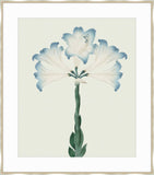 Joyful Blooms II