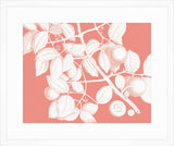 Von Rheede Botanical Coral Reef Reverse I
