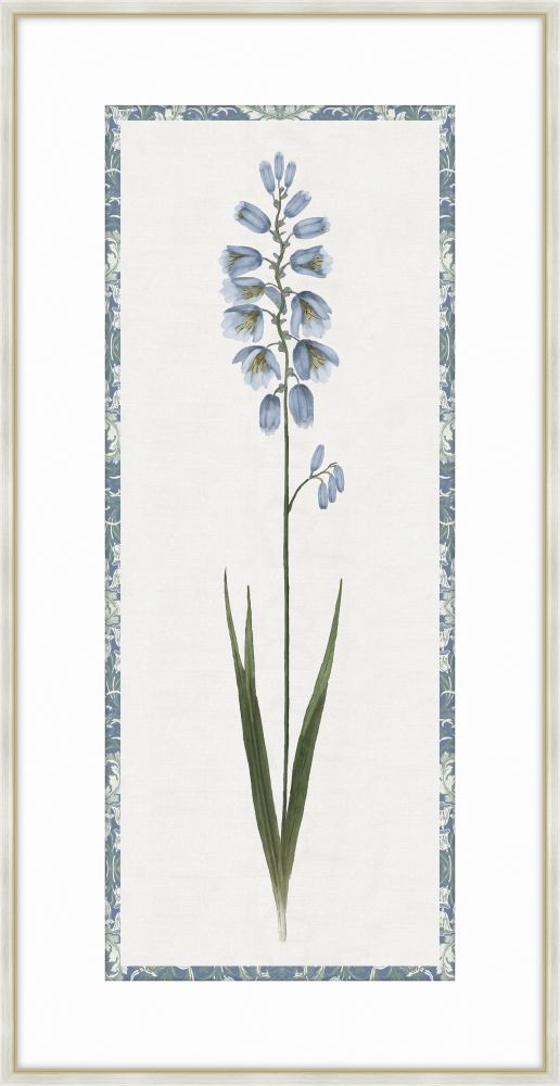 Ixia Blue