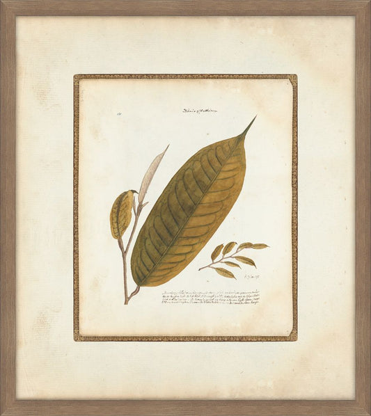 Leaves & Flowers  I