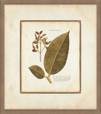 Leaves & Flowers  III