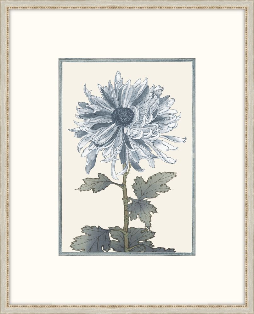 Asian Blue &  White Flowers IV