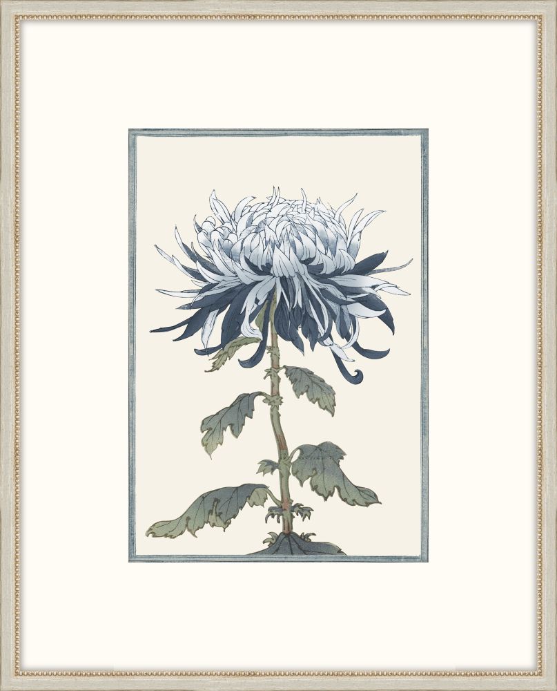 Asian Blue &  White Flowers VI