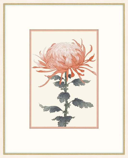 Asian  Coral & White Flowers II
